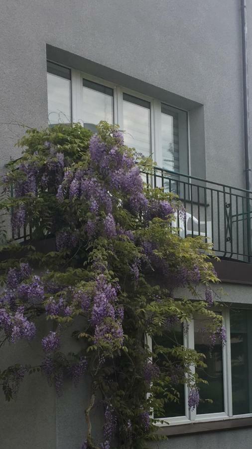 Willa Przy Plazy Gdynia Kamienna Gora Bagian luar foto